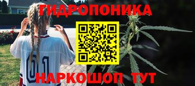 jwh Будённовск