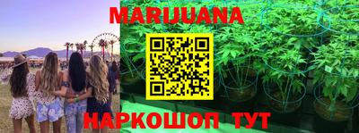 jwh Будённовск