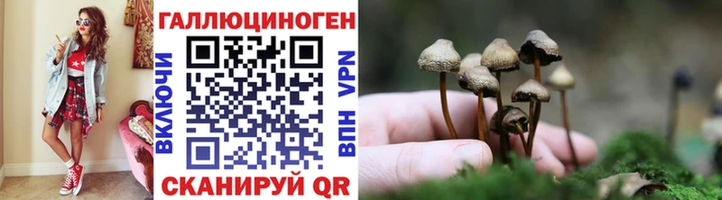 Галлюциногенные грибы GOLDEN TEACHER  OMG вход  Лабытнанги 