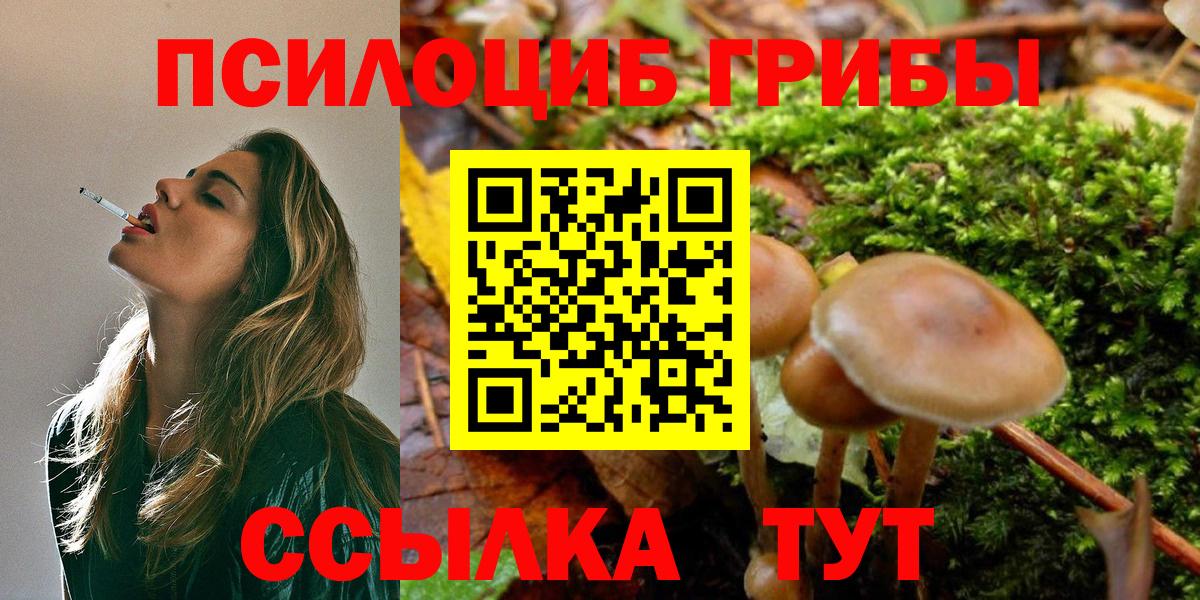 Галлюциногенные грибы мухоморы Лабытнанги