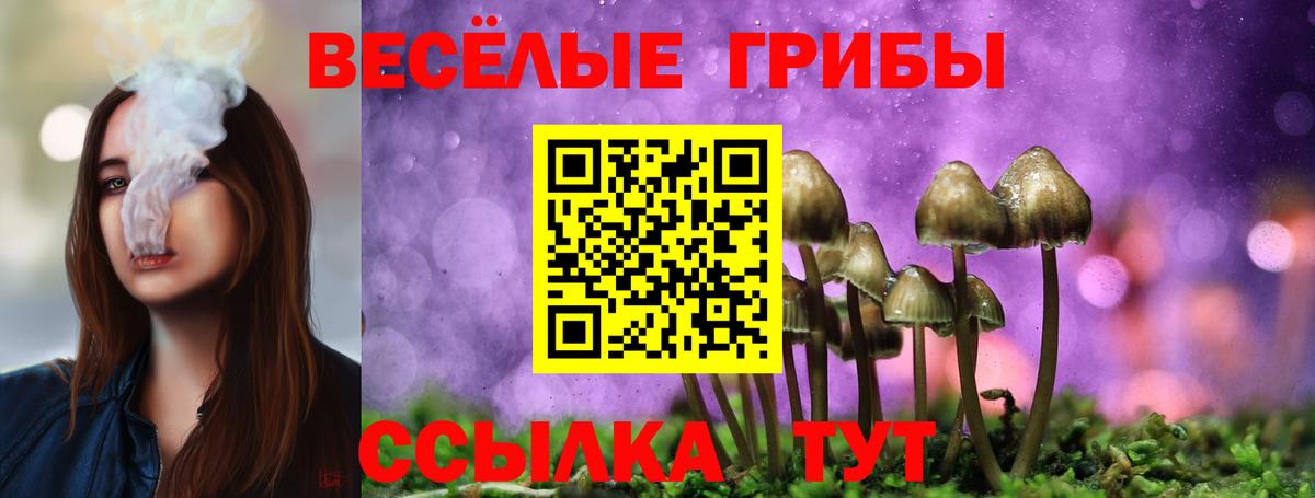 Лабытнанги  что такое   Вход с VPN  Псилоцибиновые грибы MAGIC MUSHROOMS 